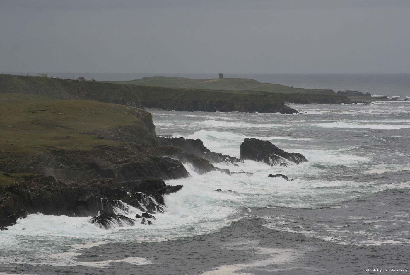 20090427_tharalpoint10