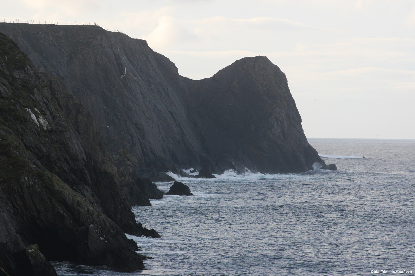 20090428_doonpoint01