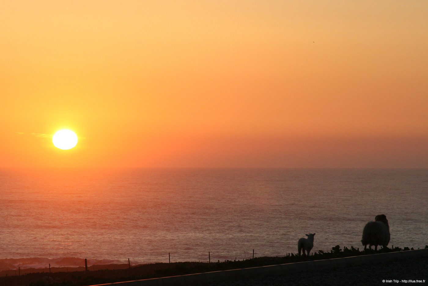 20090428_malinbegsunset1