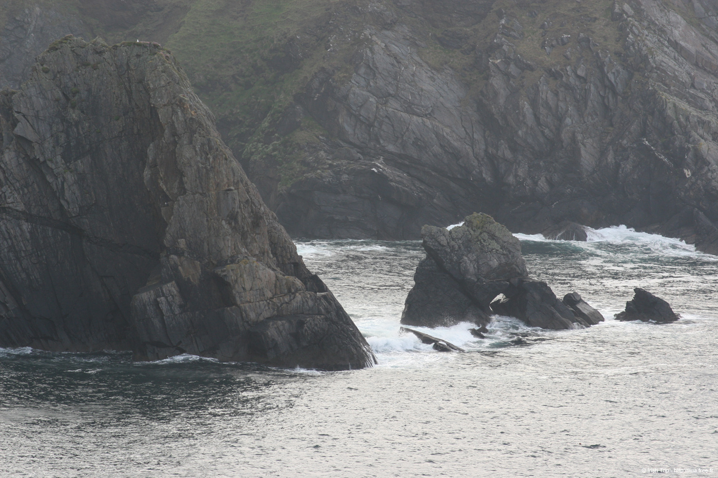 20090428_ougueportbay03