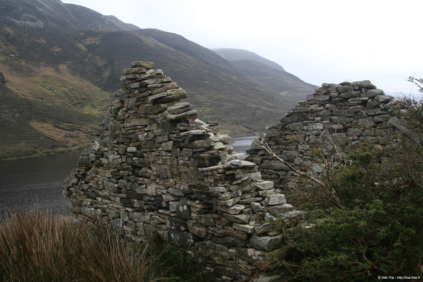 20090428_port02killyfanned