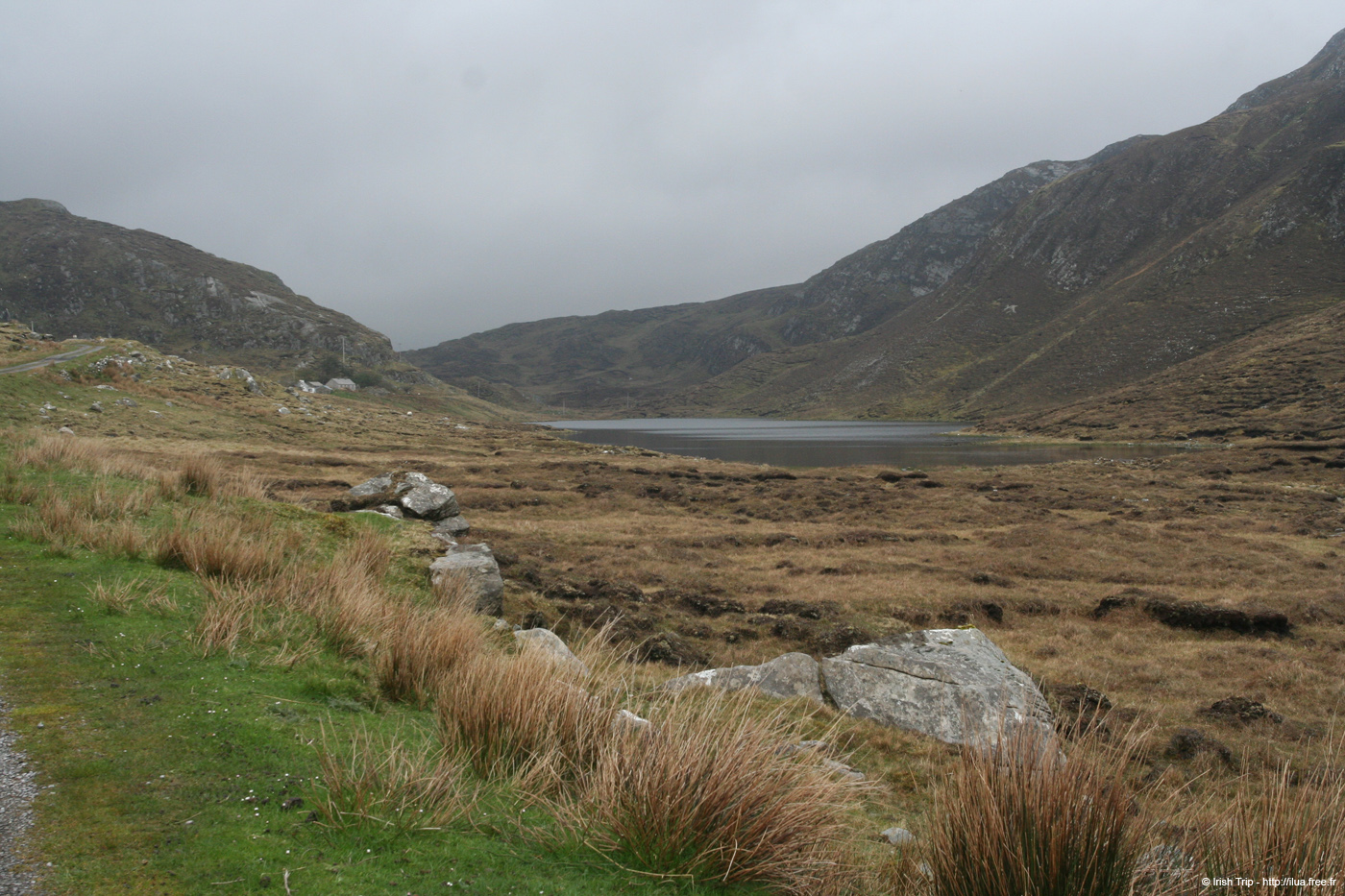 20090428_port03killyfanned