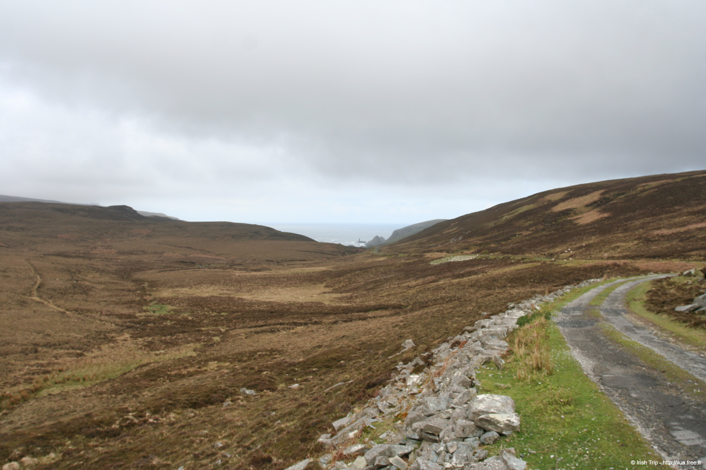 20090428_port04killyfanned