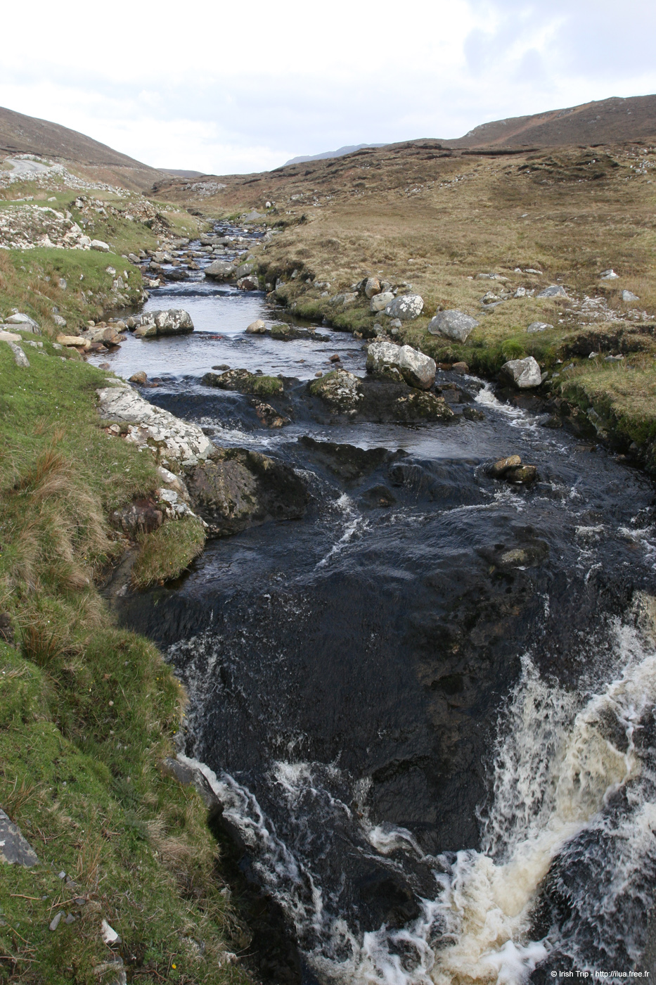 20090428_port07river