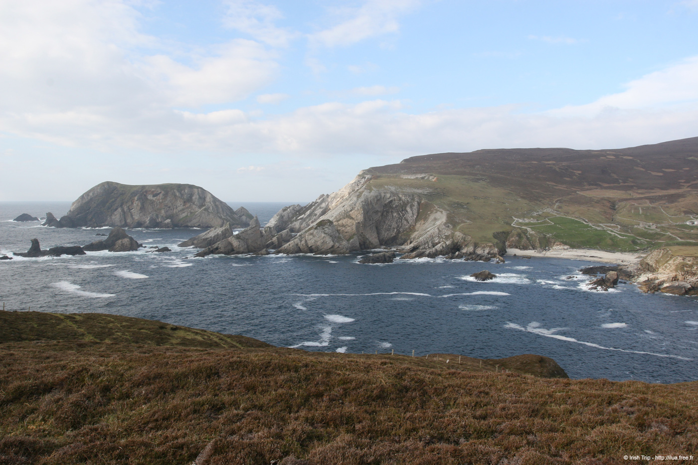 20090428_port17