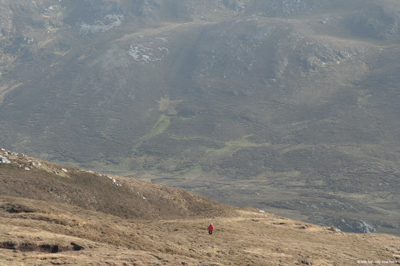 20090428_porthill01aneigh