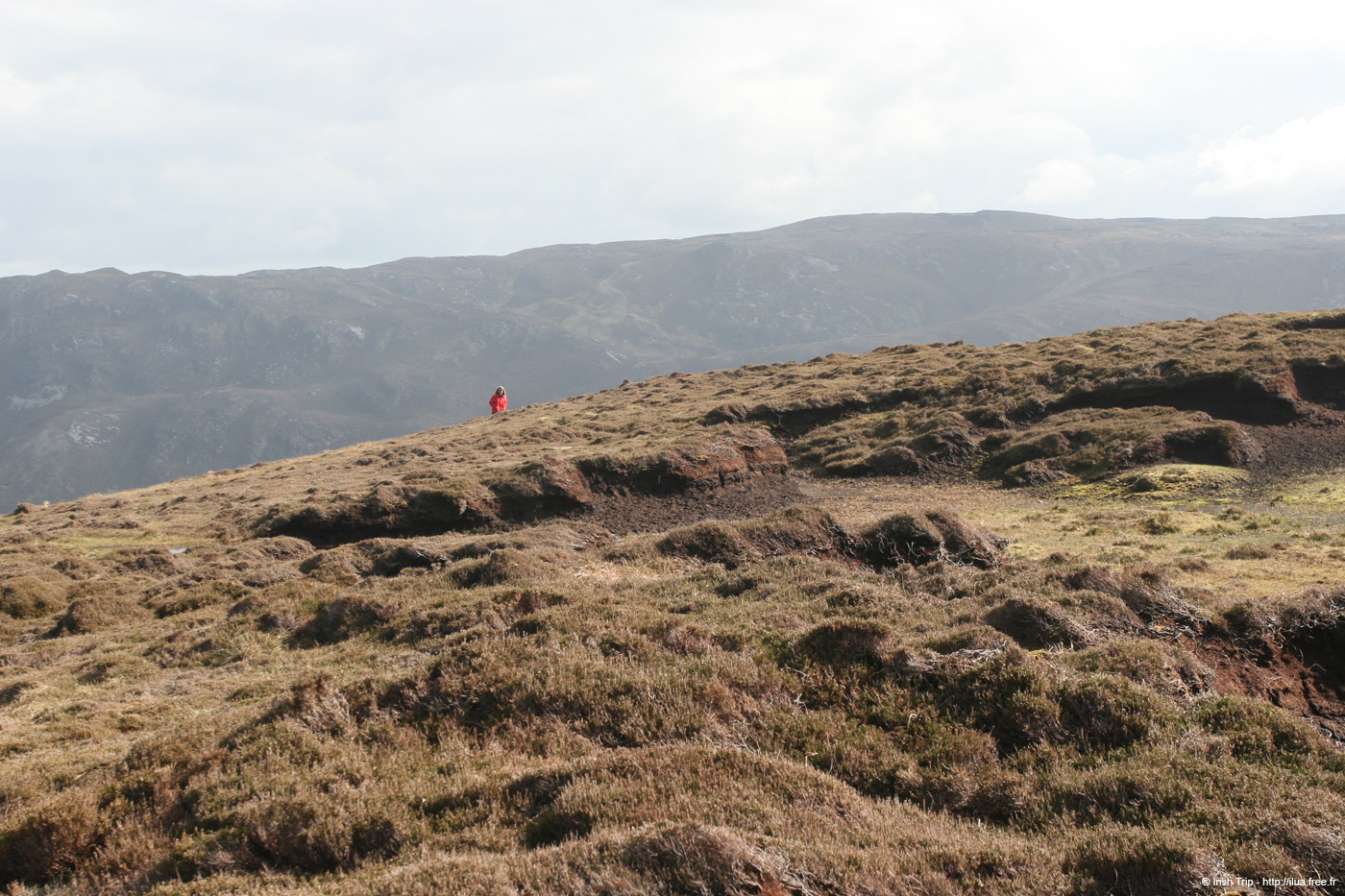 20090428_porthill04aneigh