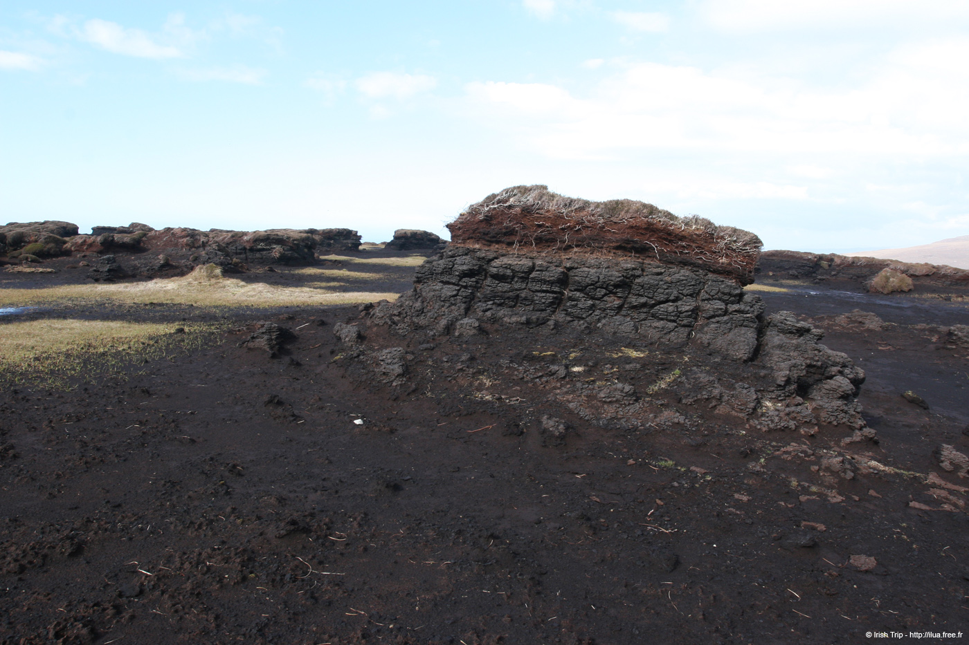 20090428_porthill06top
