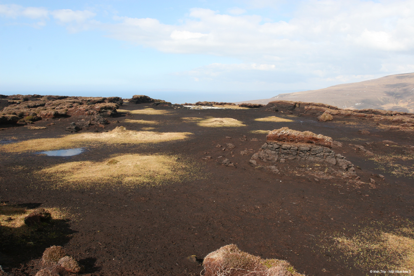 20090428_porthill08top
