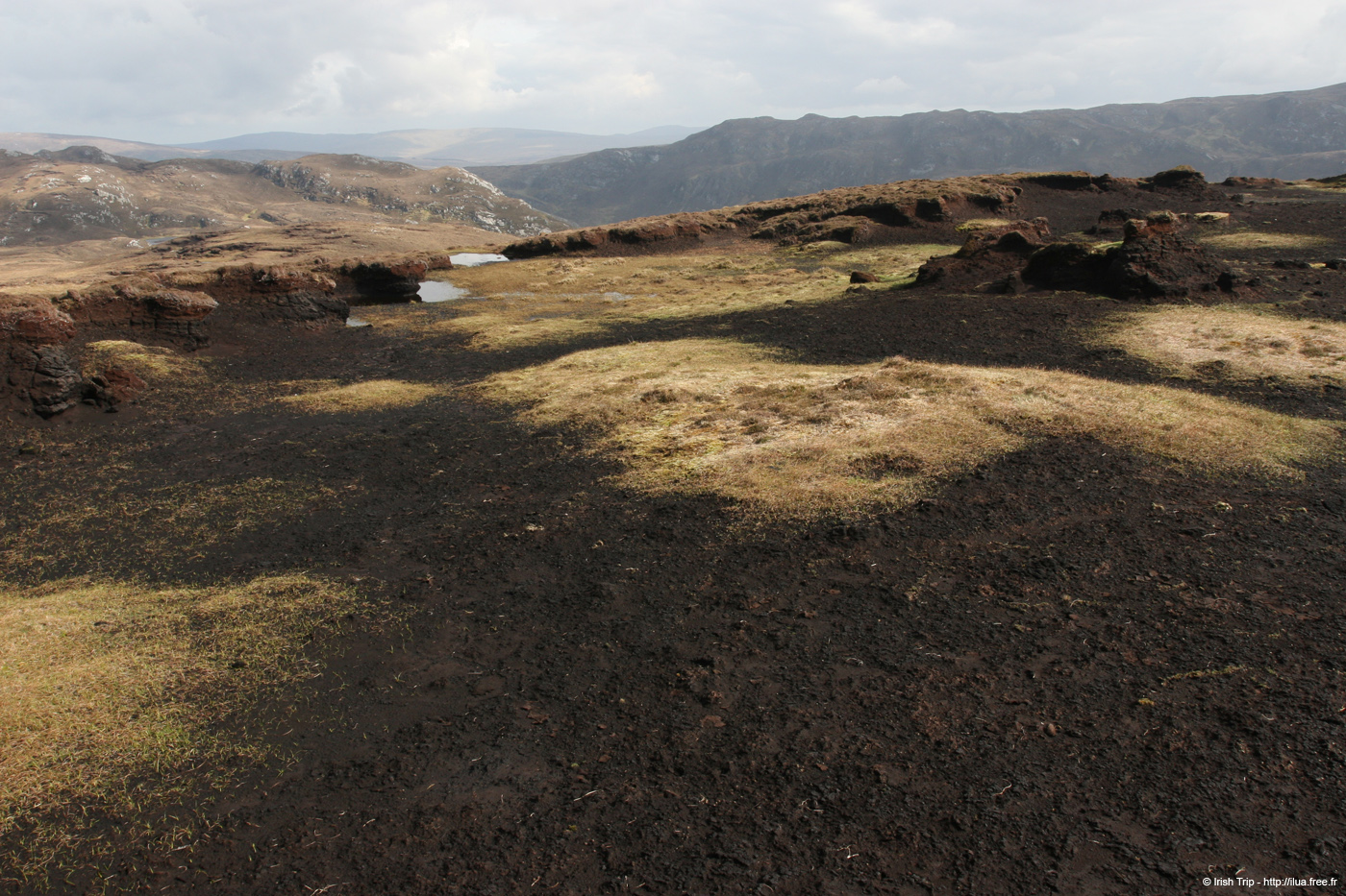 20090428_porthill09top