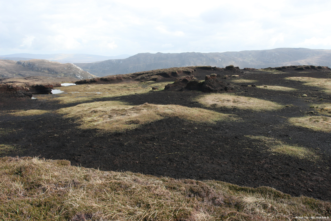 20090428_porthill10top