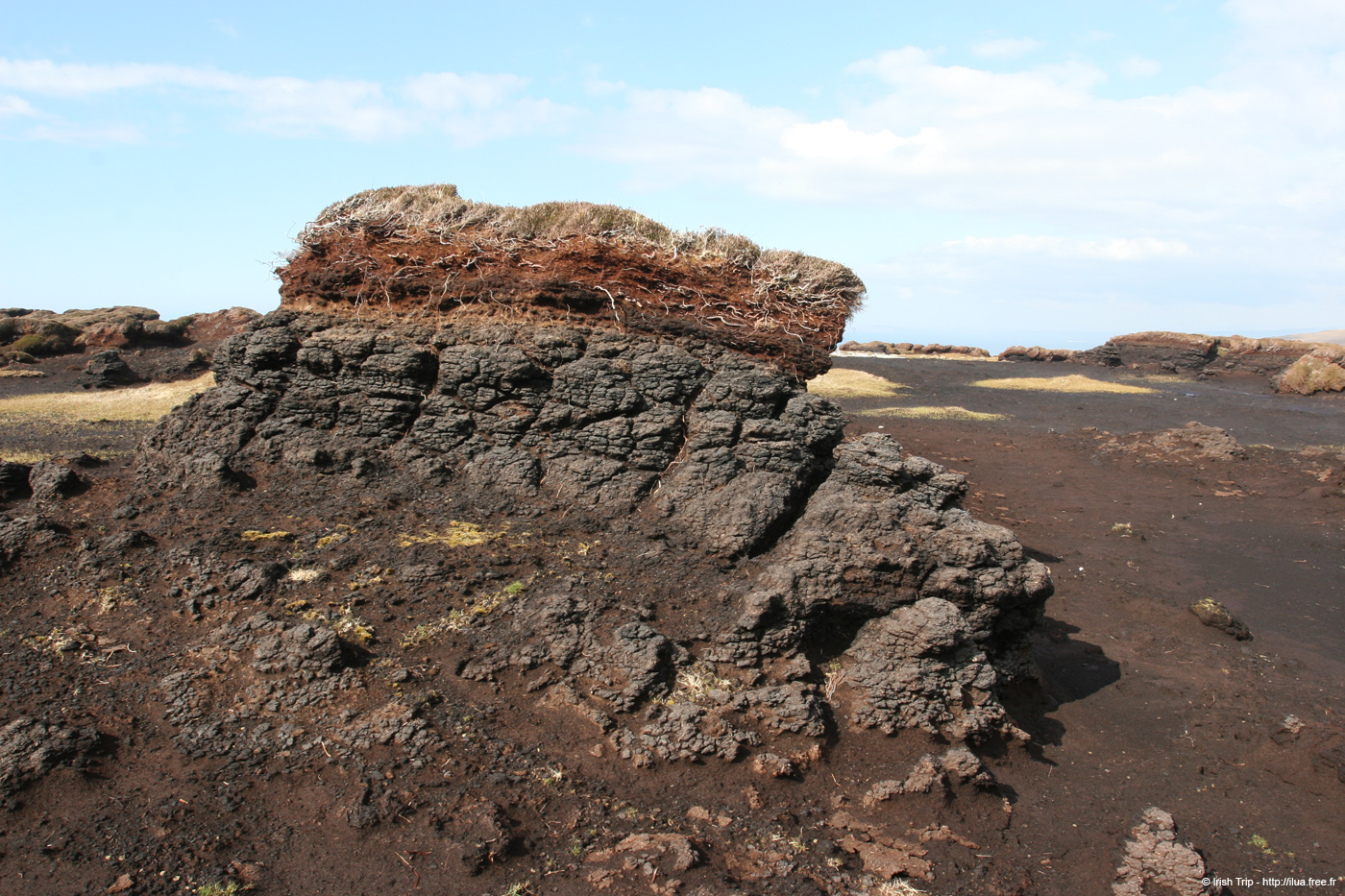 20090428_porthill11top
