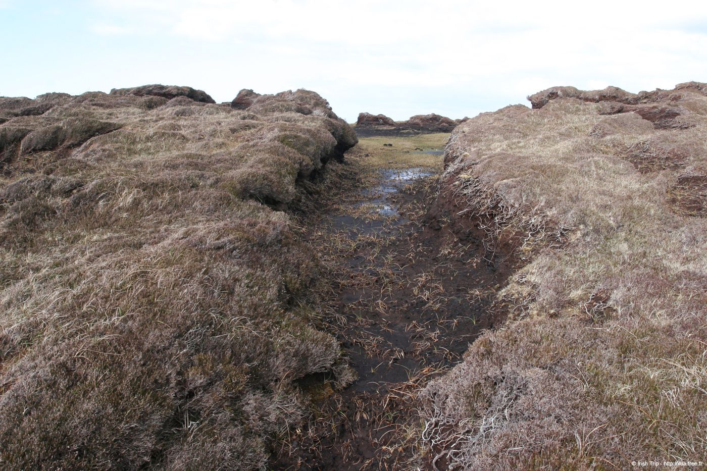 20090428_porthill14top