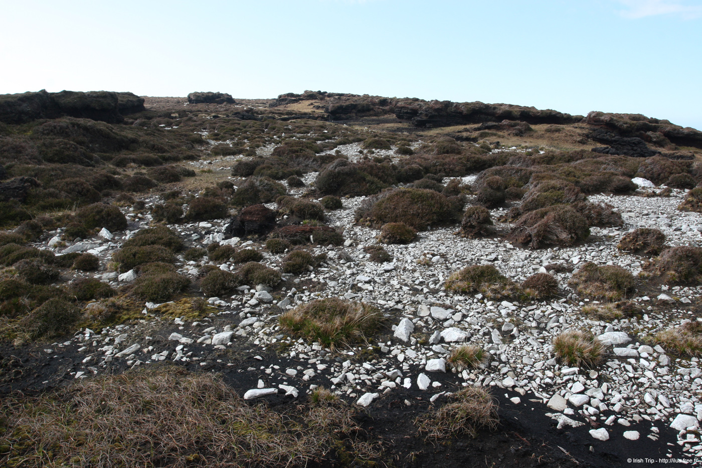 20090428_porthill16top