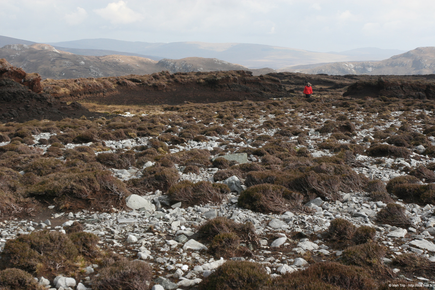 20090428_porthill17top