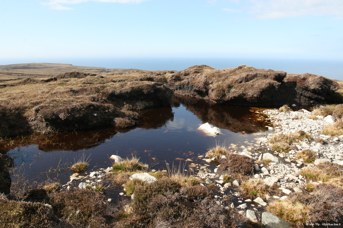 20090428_porthill18top