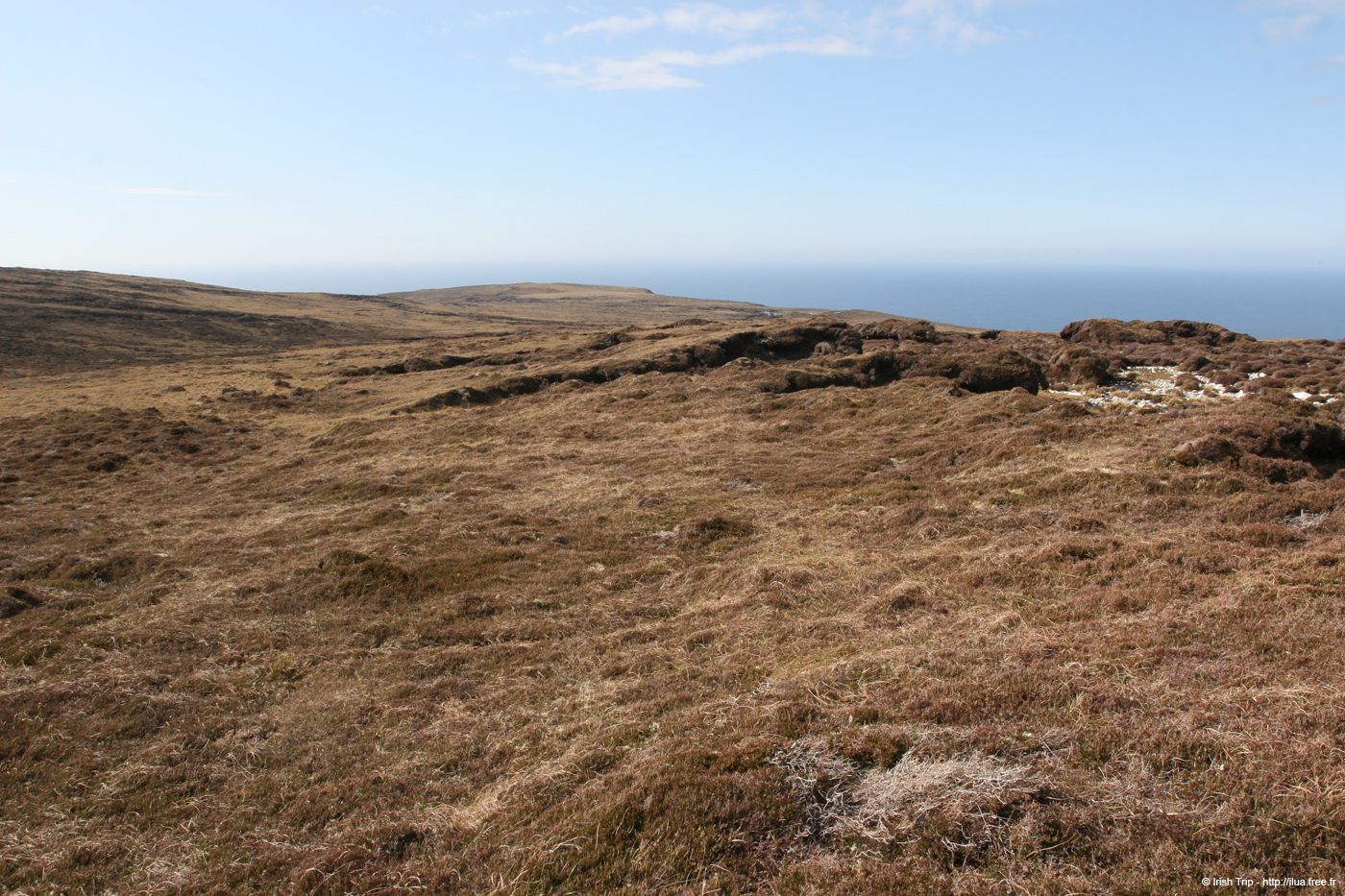 20090428_porthill19top