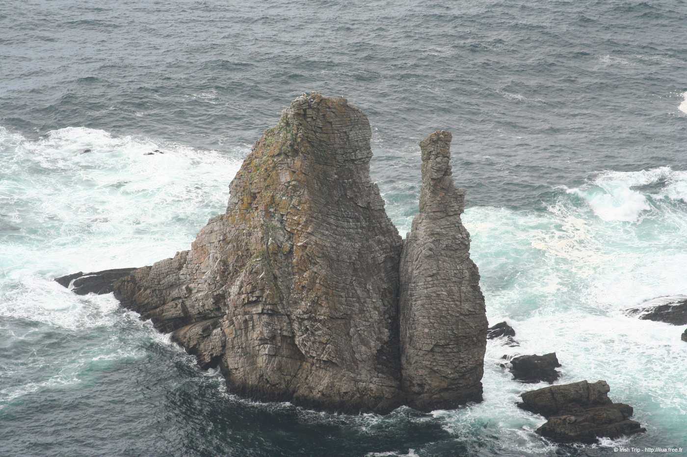 20090428_porthill58