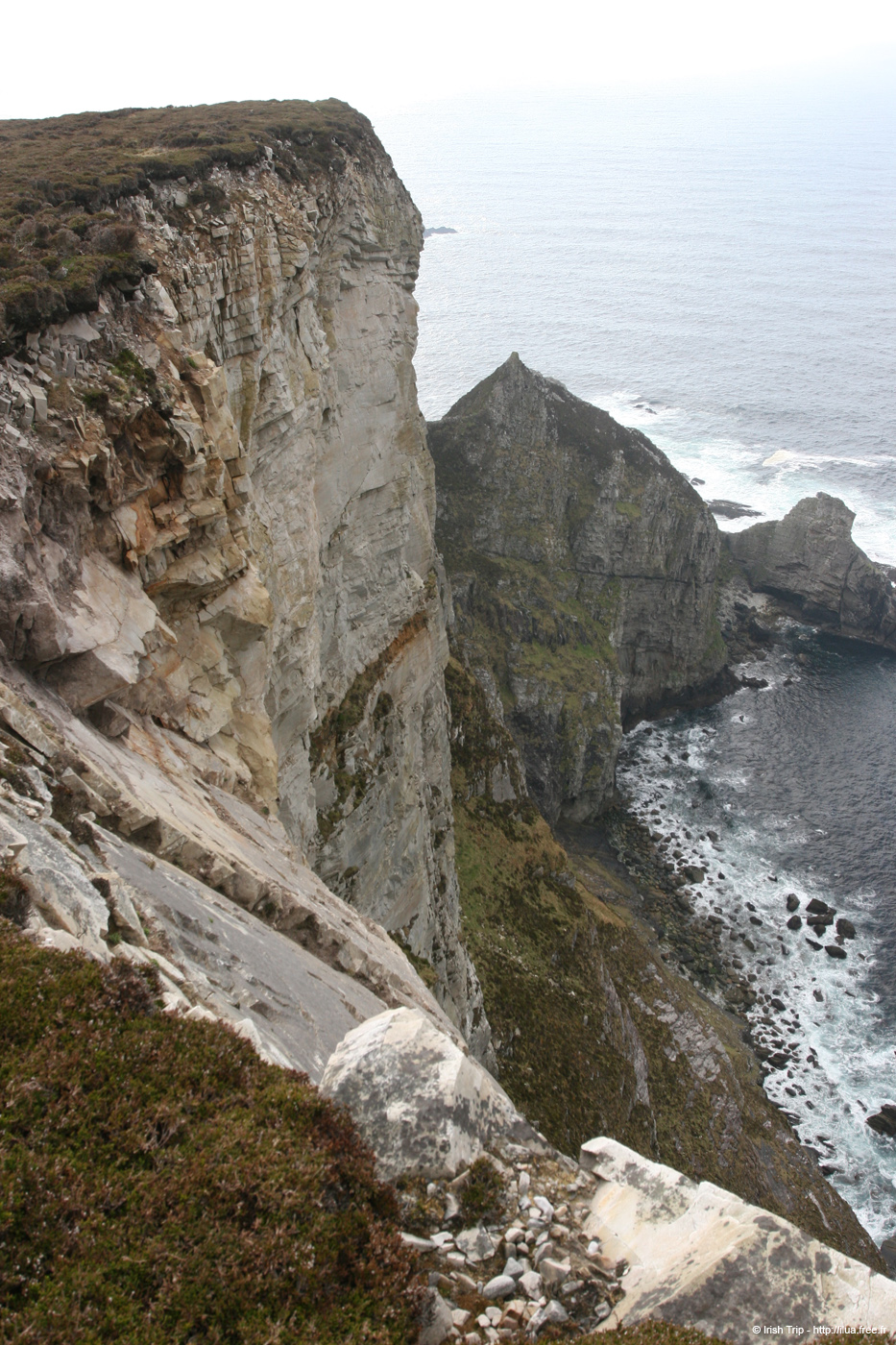 20090428_porthill61