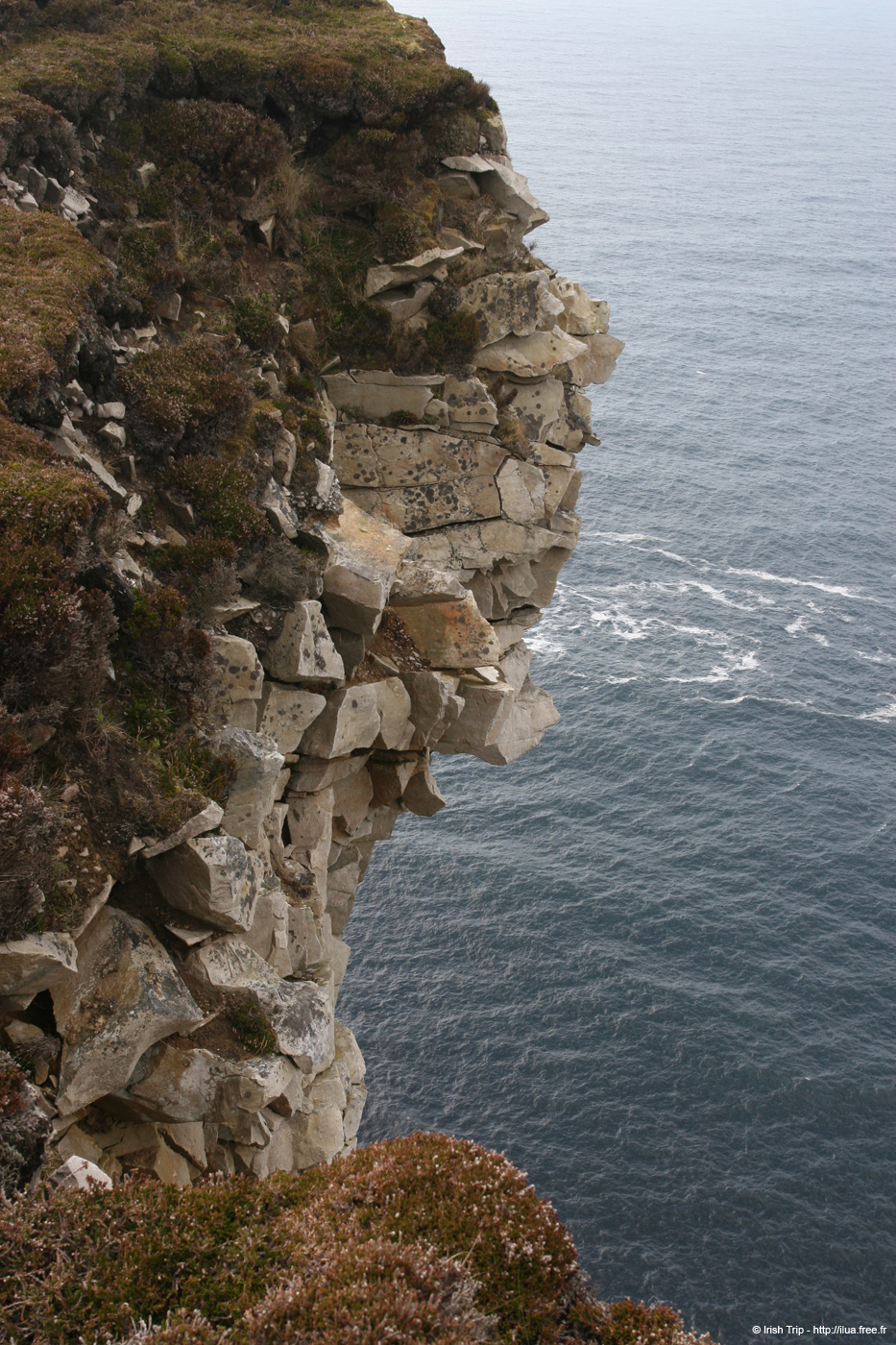 20090428_porthill62