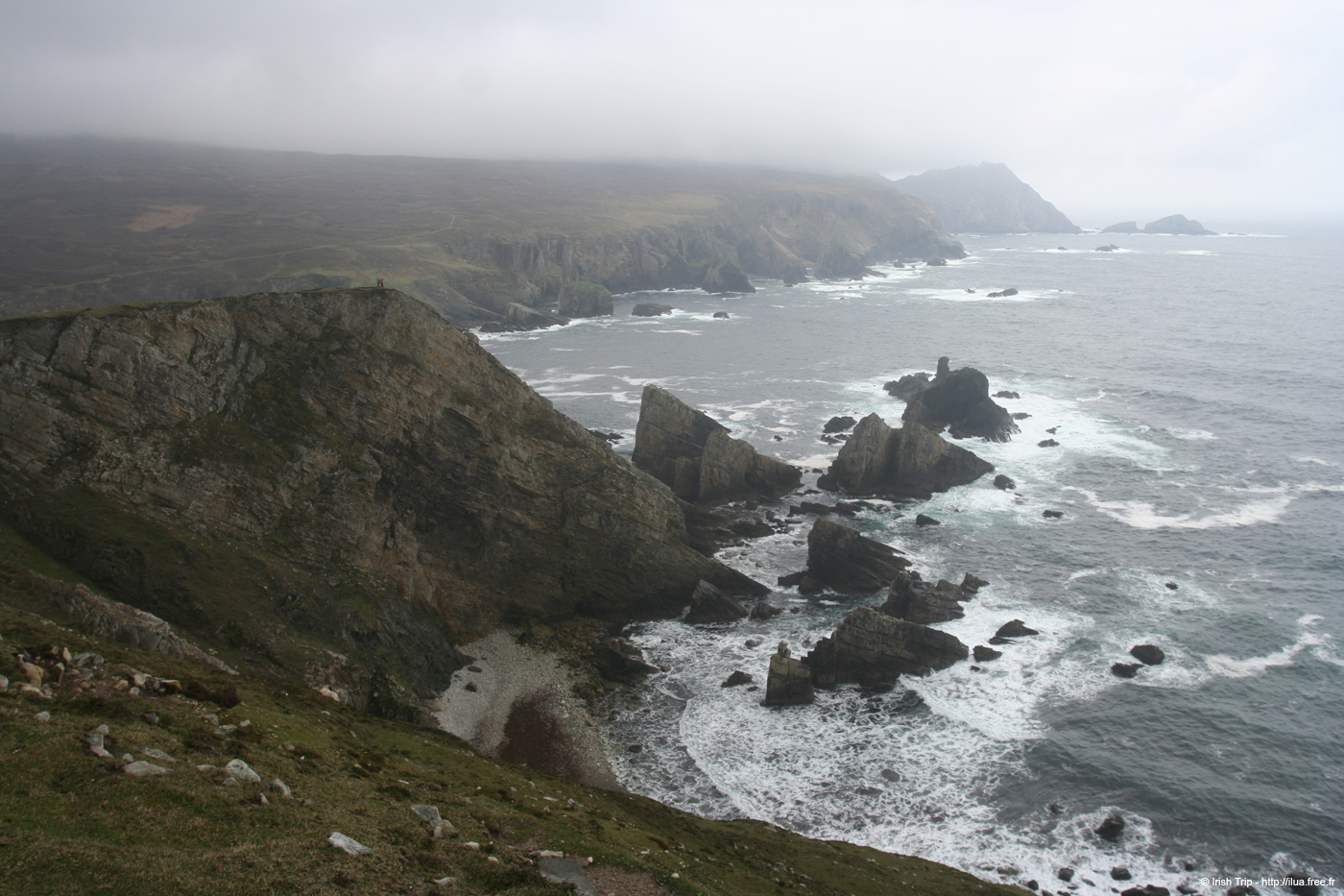 20090428_porthill66