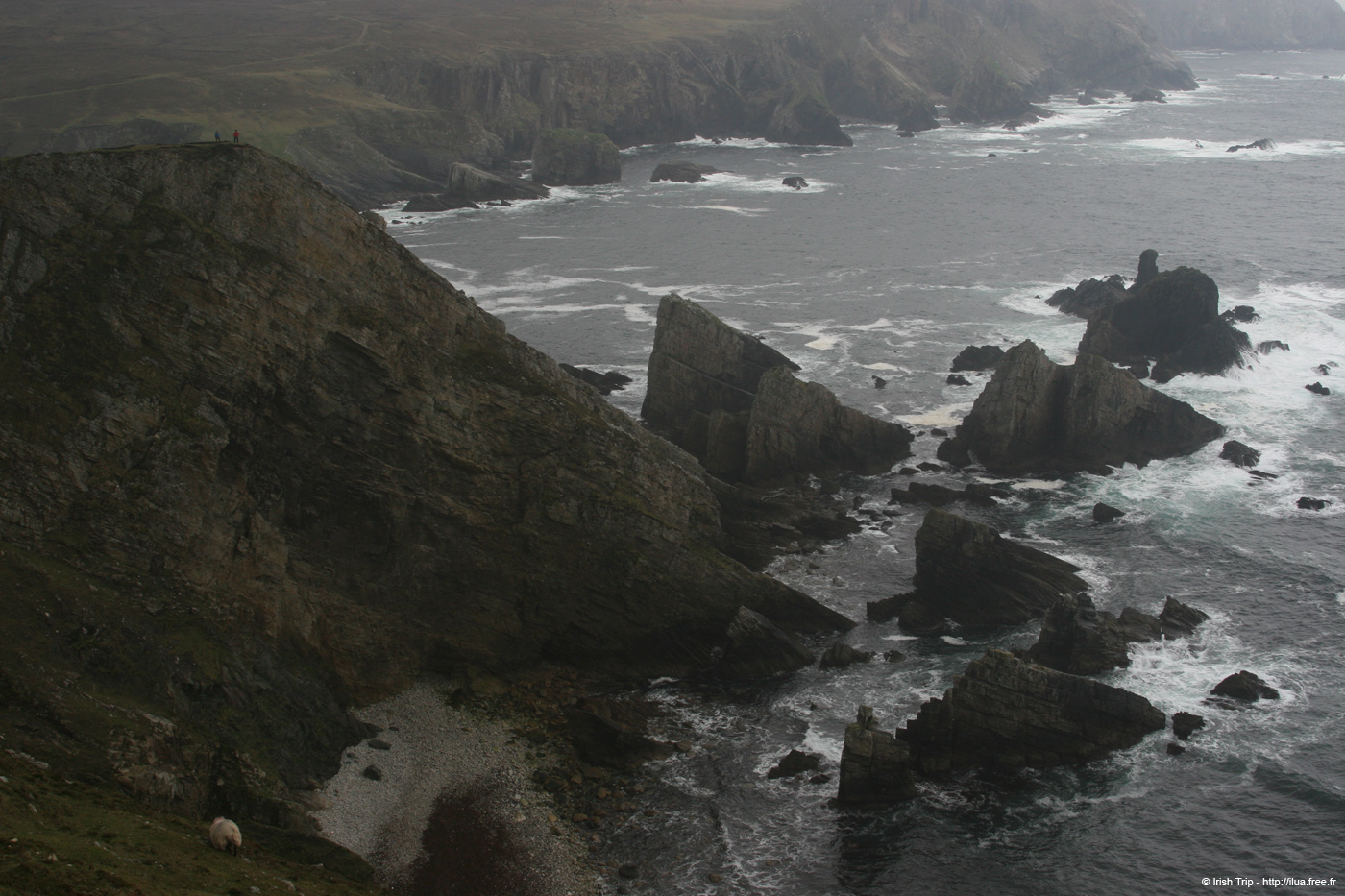 20090428_porthill67