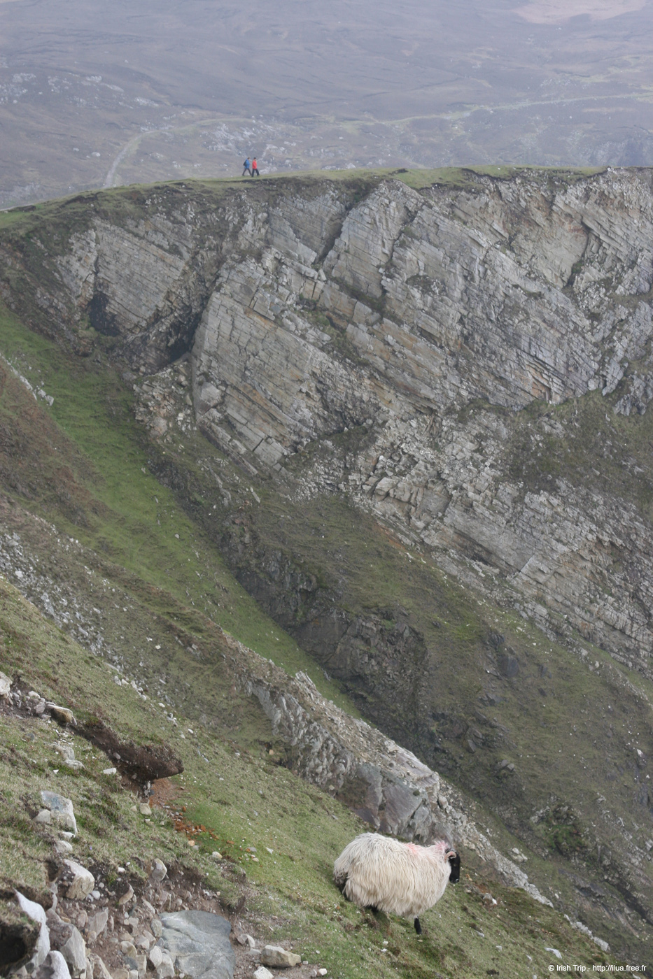 20090428_porthill78