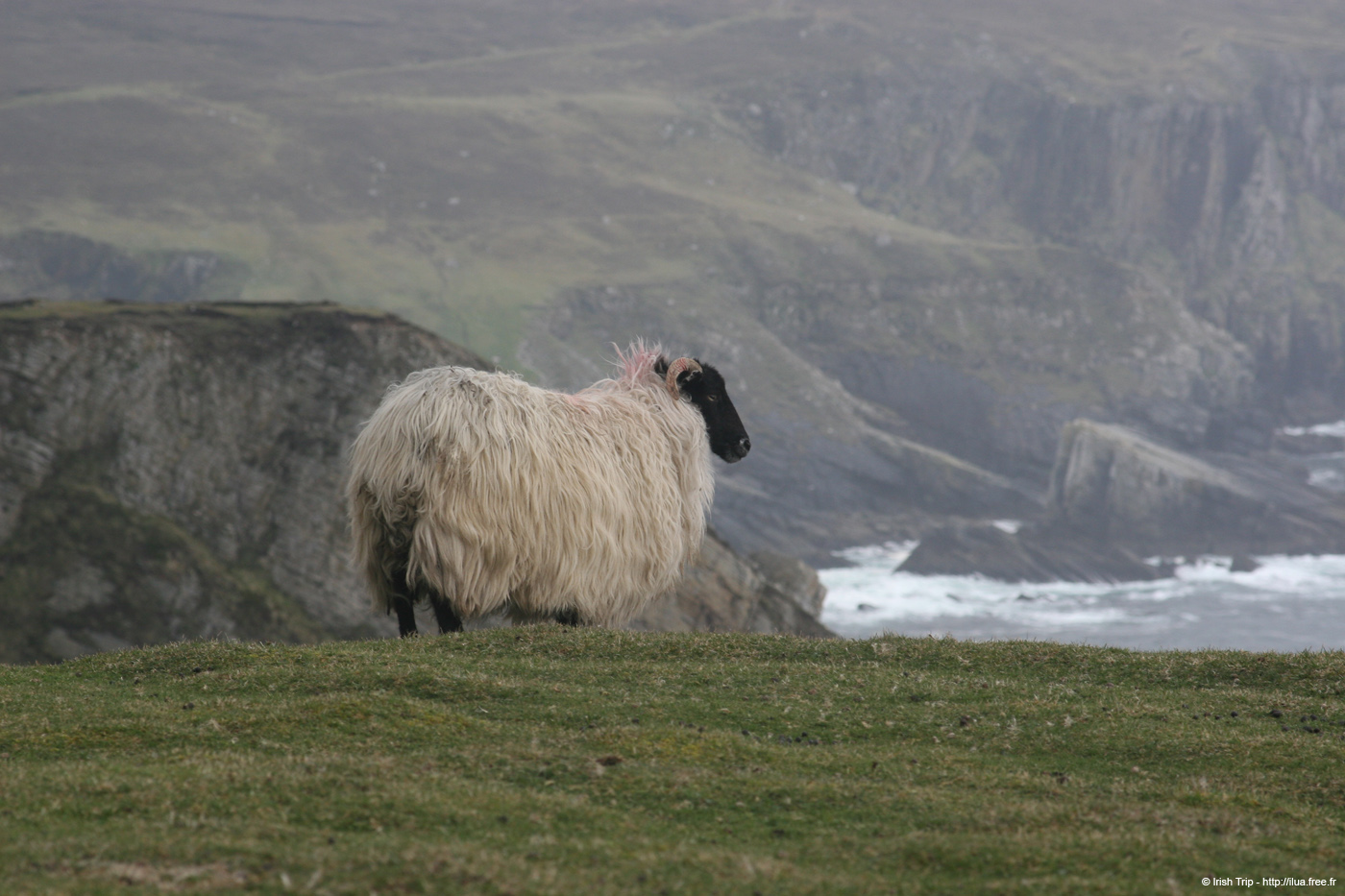 20090428_porthill79