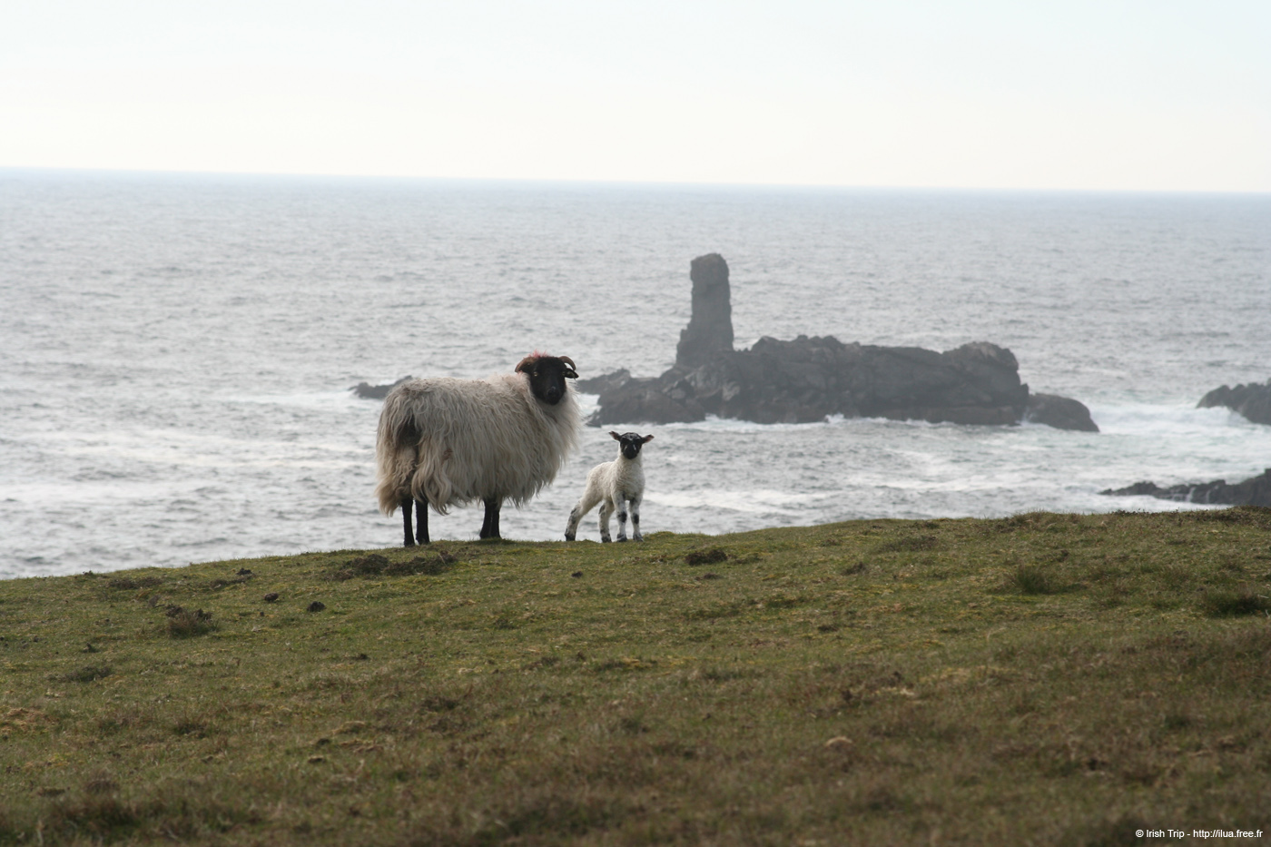 20090428_porthill80