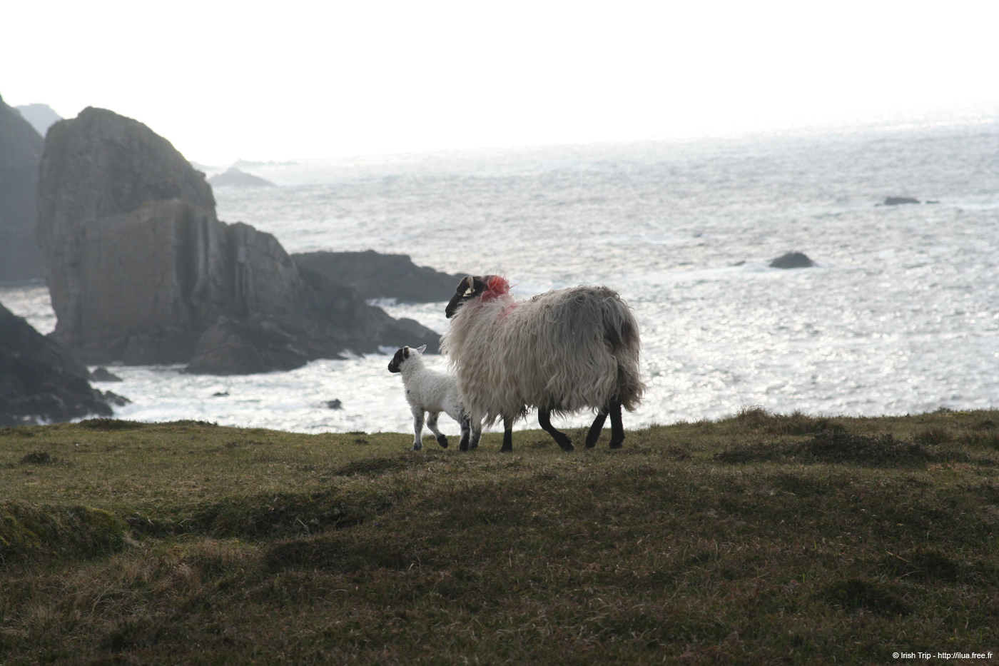 20090428_porthill81