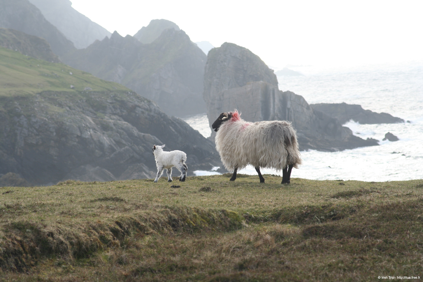 20090428_porthill82