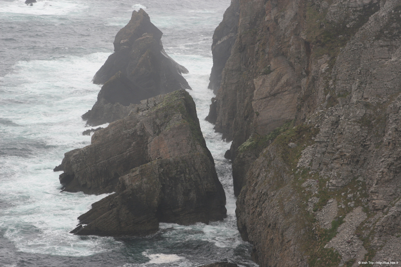 20090428_porthill83