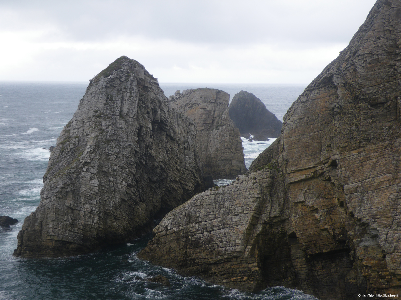 20090428_porthill84