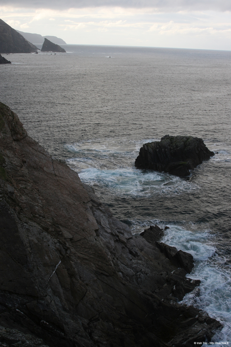 20090428_rossarellpoint01