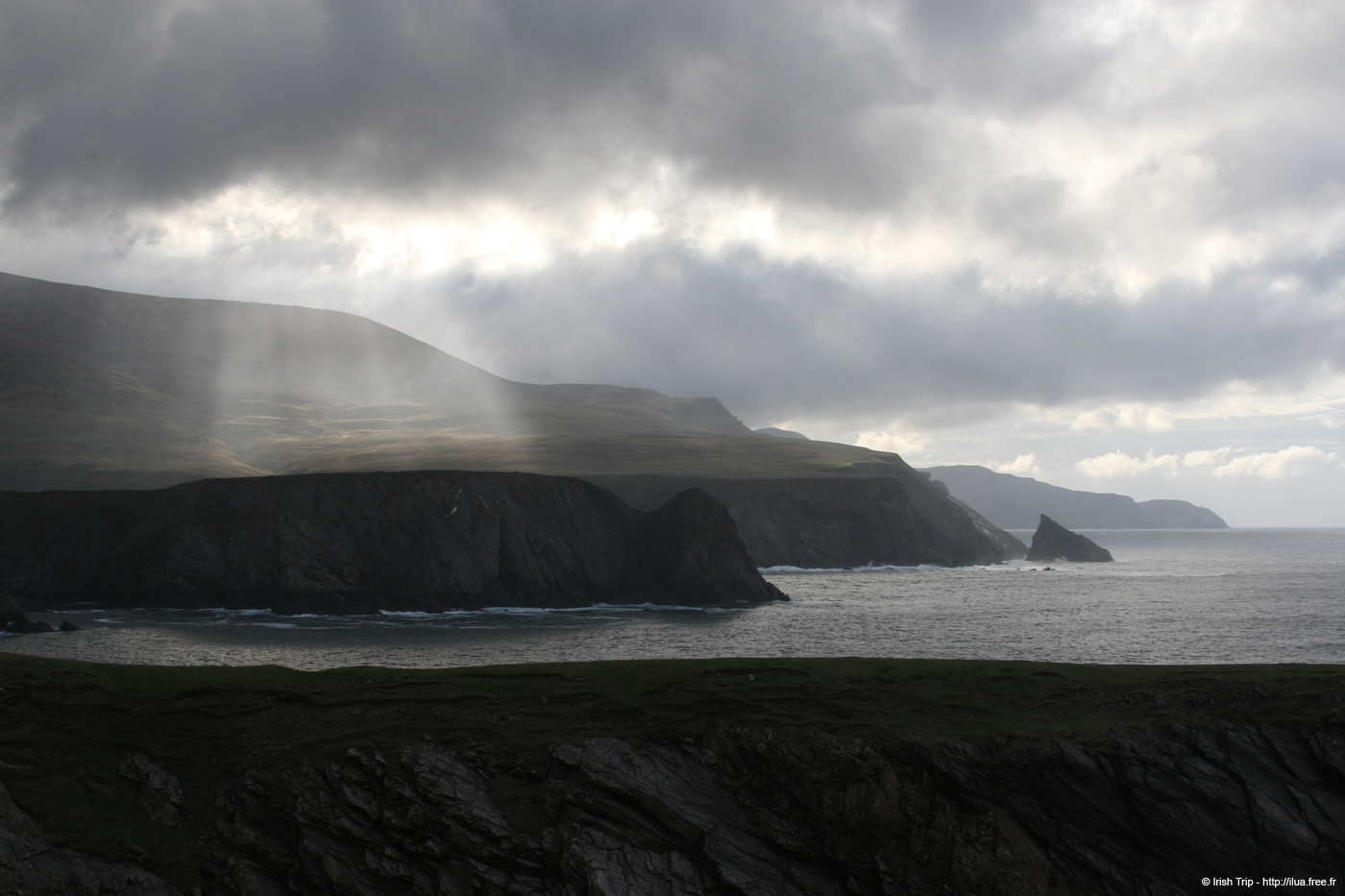 20090428_rossarellpoint02