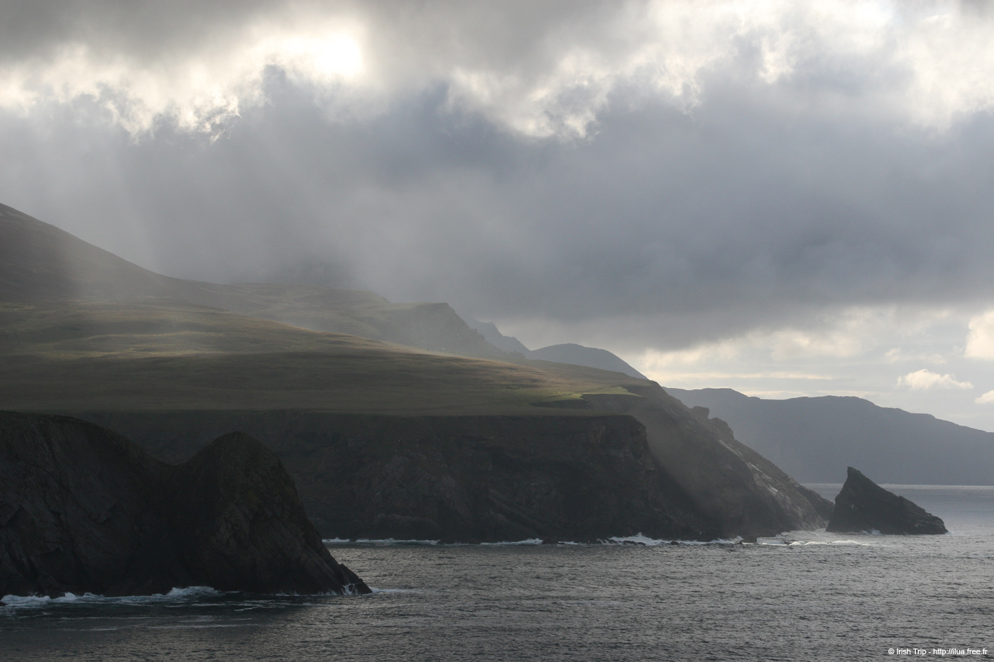 20090428_rossarellpoint03