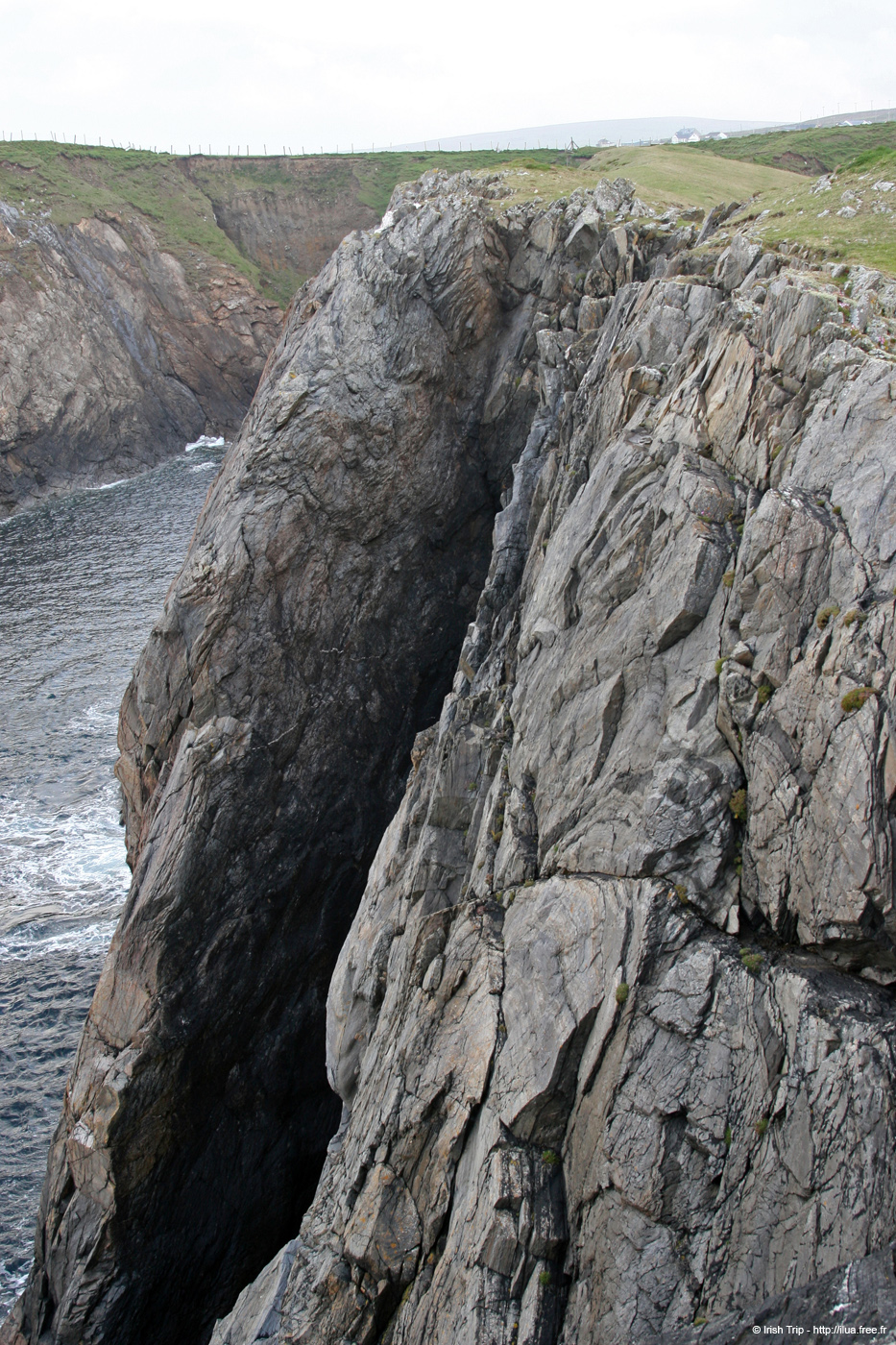 20090428_tharalpoint03