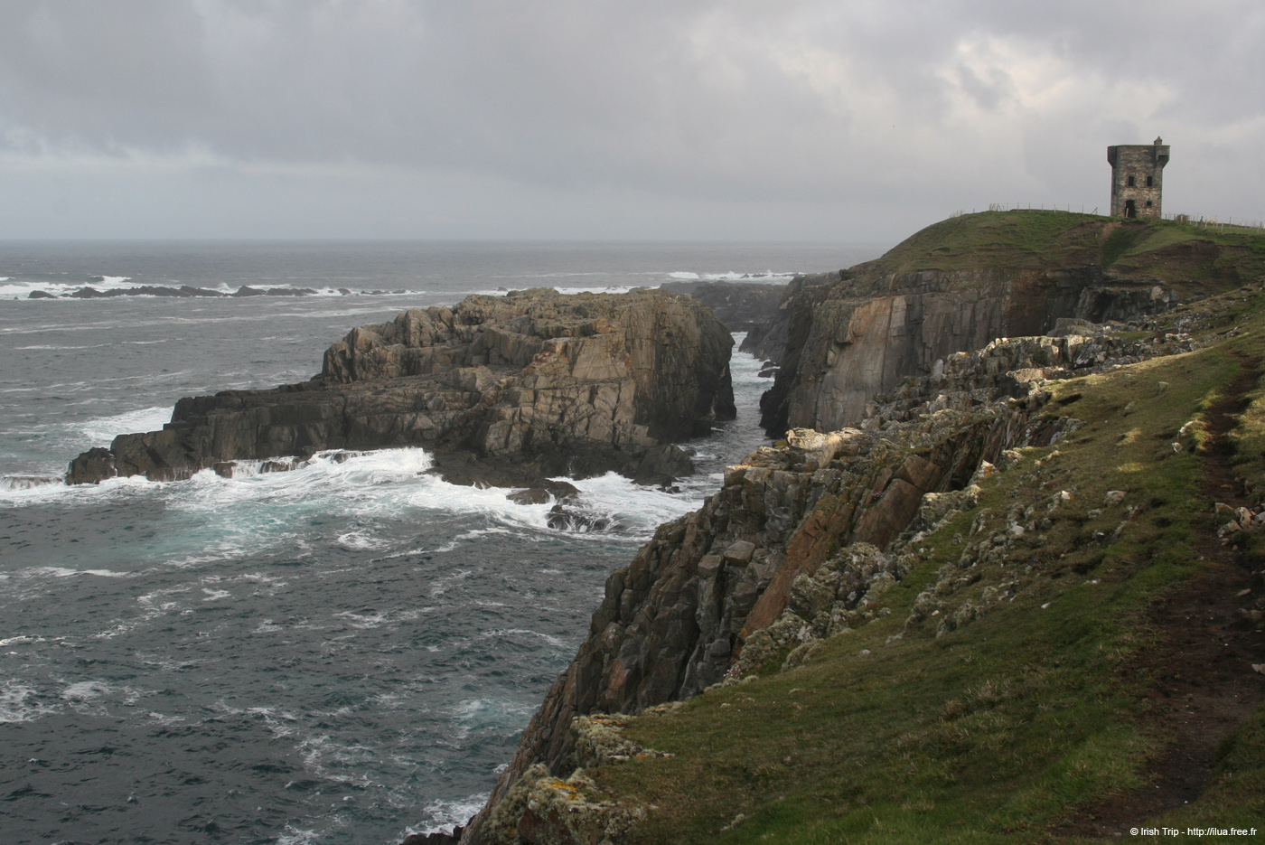 20090428_tharalpoint05