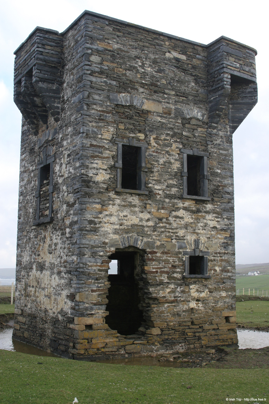 20090428_tharalpoint09