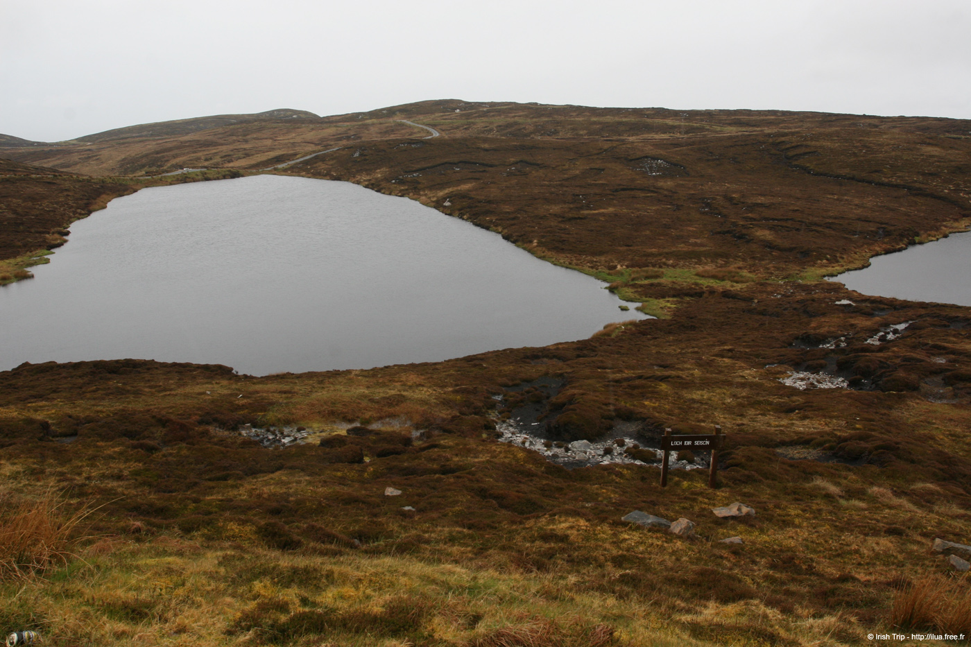 20090429_cluidanillerlough1