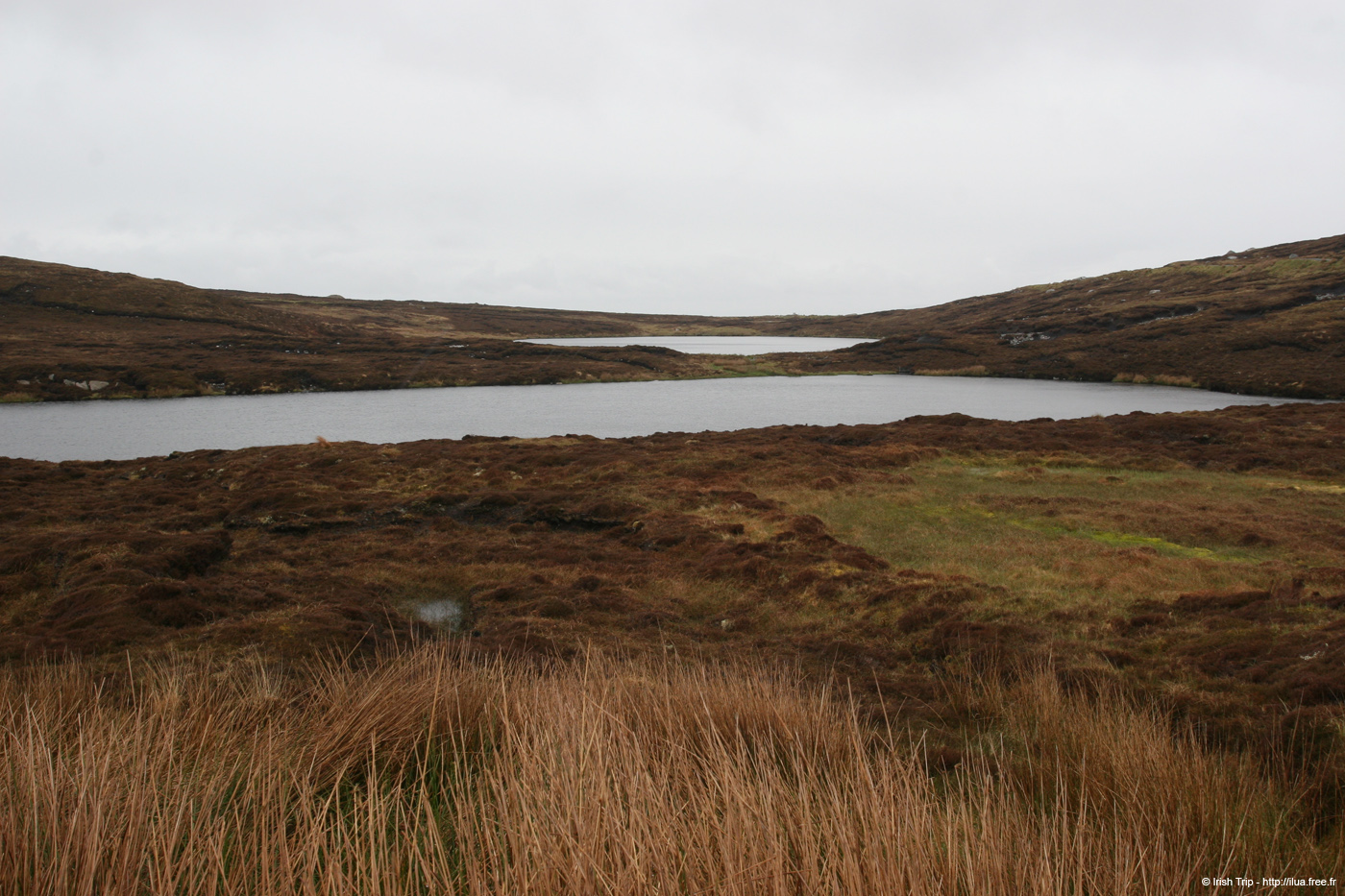 20090429_cluidanillerlough2
