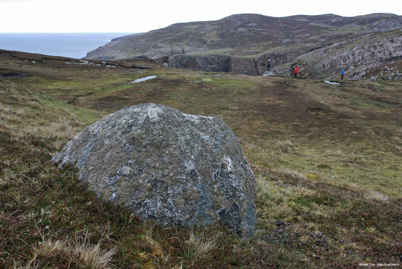 20090429_cronagan05