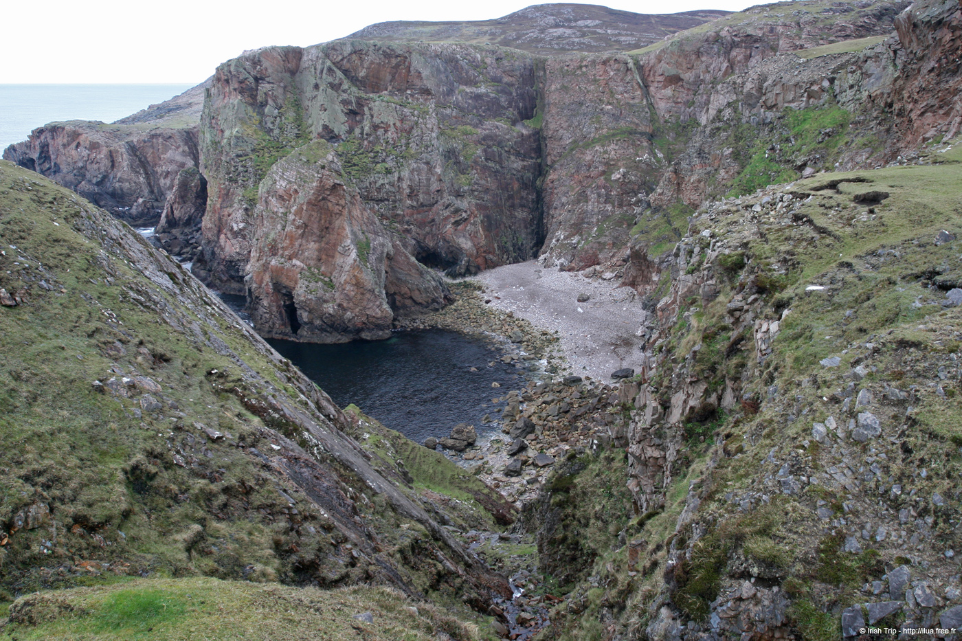 20090429_cronagan06