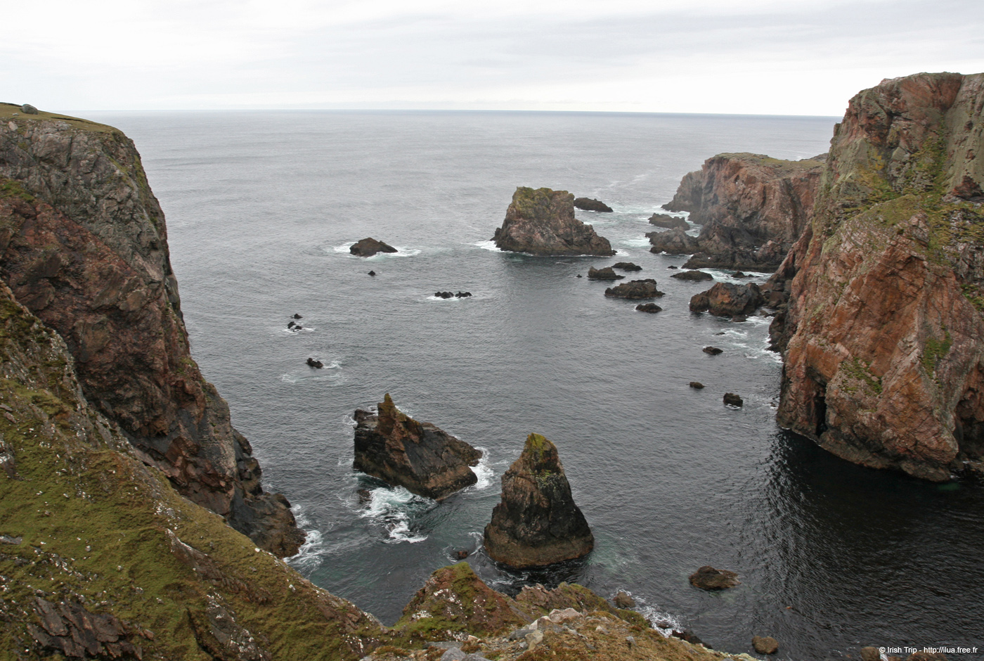 20090429_cronagan07