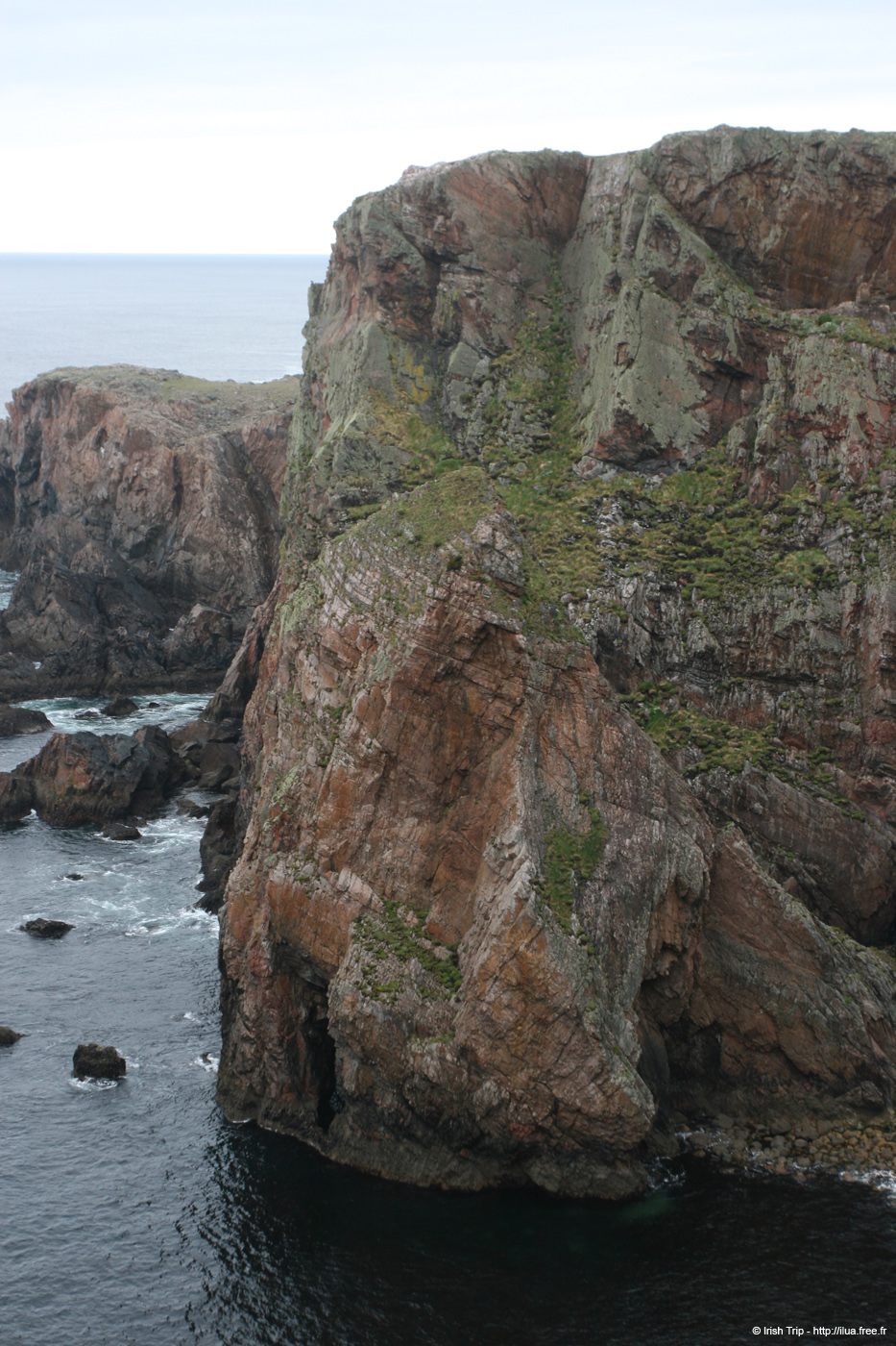 20090429_cronagan08