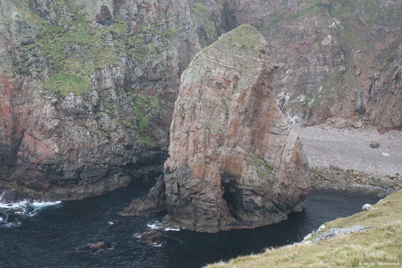 20090429_cronagan11