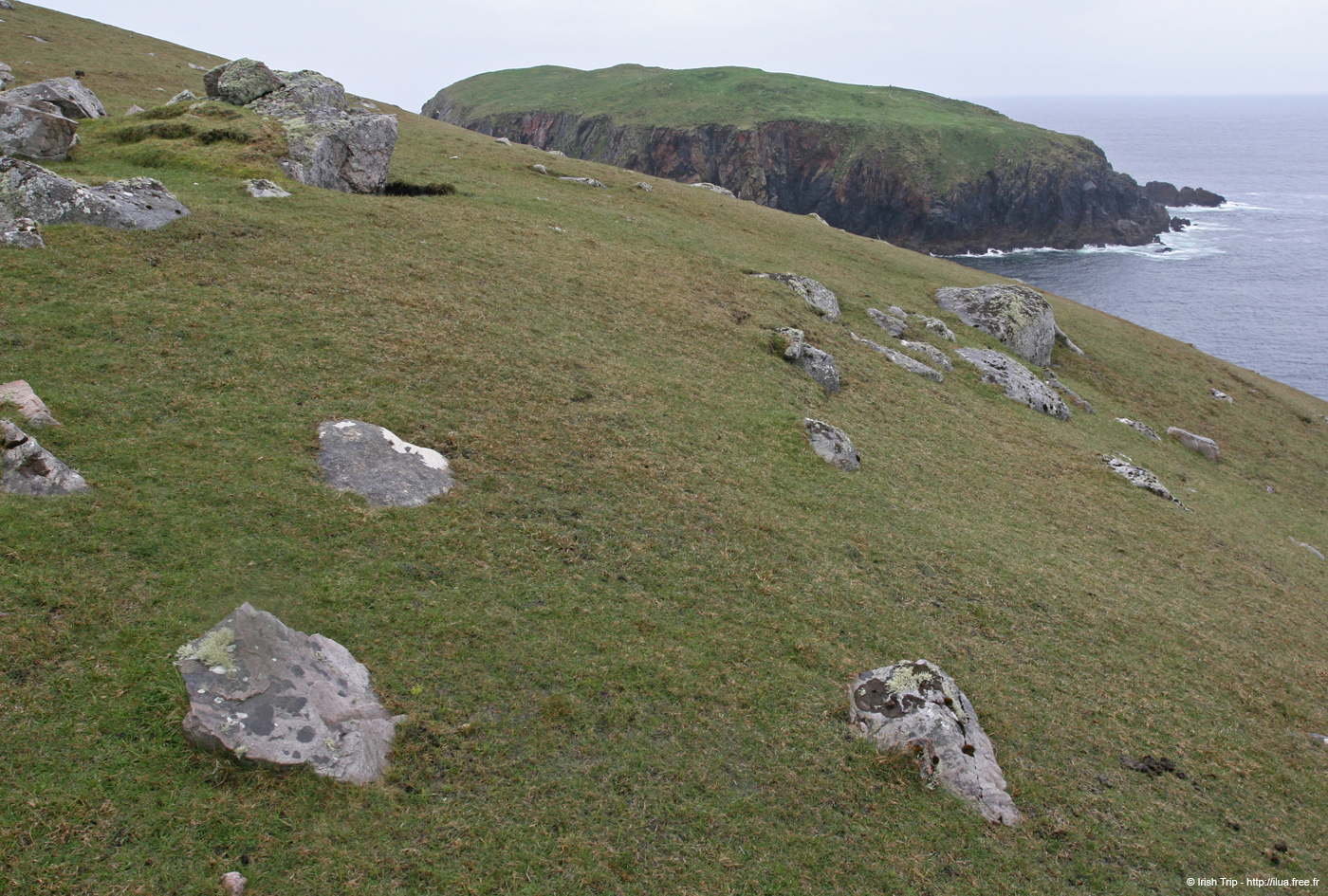 20090429_cronagan18illanaran