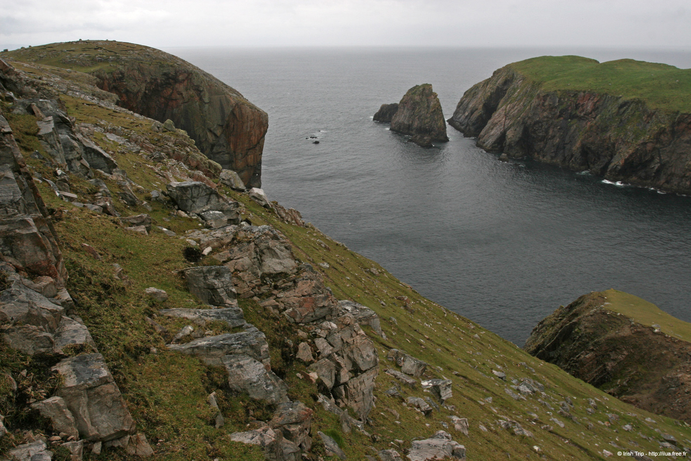 20090429_cronagan28torboy