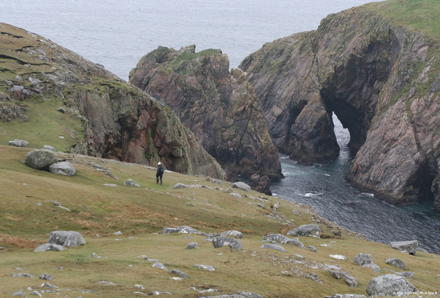 20090429_cronagan32torboy