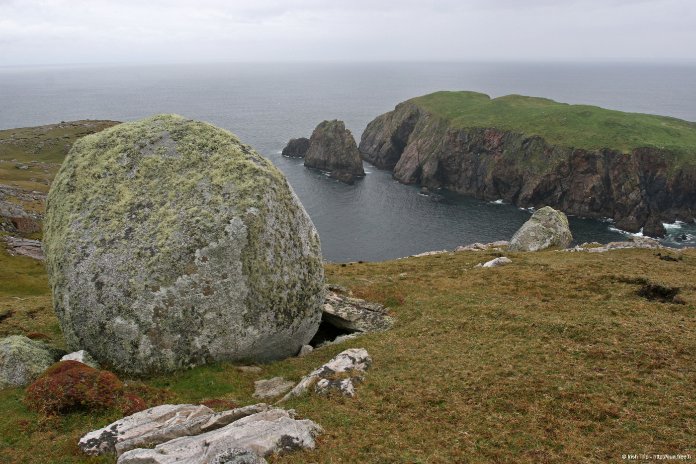 20090429_cronagan34torboy